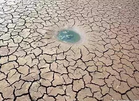 为什么坚持运动与节食一个月, 肚子却没有一丁点变化