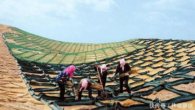 沙漠明珠起死回生! 甘肃治沙人造秸秆长城, 驱赶黄沙!