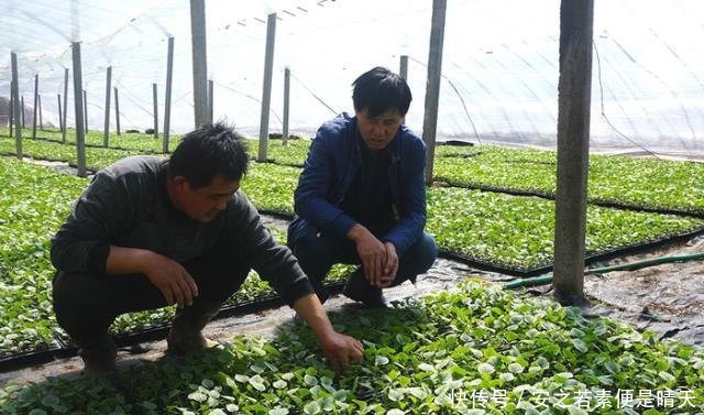 未来5年，农村3个高薪且体面的工作急需人，有想法的农民不妨尝试