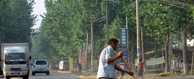  秸秆：秸秆“不烧”与“烧”之争未停，又出1新规，农民可能又要
