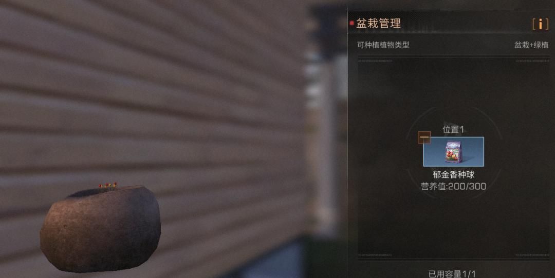  『幸存者们』明日之后：室内植物“长寿”，原来要靠这几步！