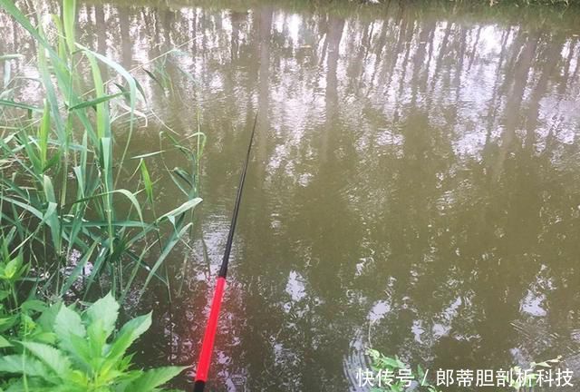  钓友@无论新手还是老手，钓鱼时都会遇到这些事，让人头疼不已