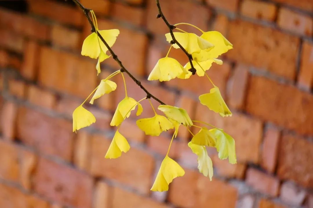 10个藏在深山人不知的古村落，却是世外桃源