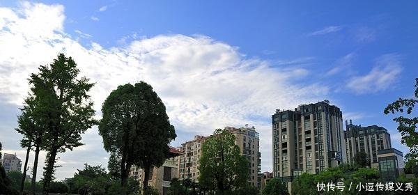 浙江省最有发展前景的4个县