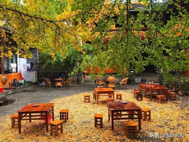 云南的秋天来了，这个小村又要开始搞“黄色”