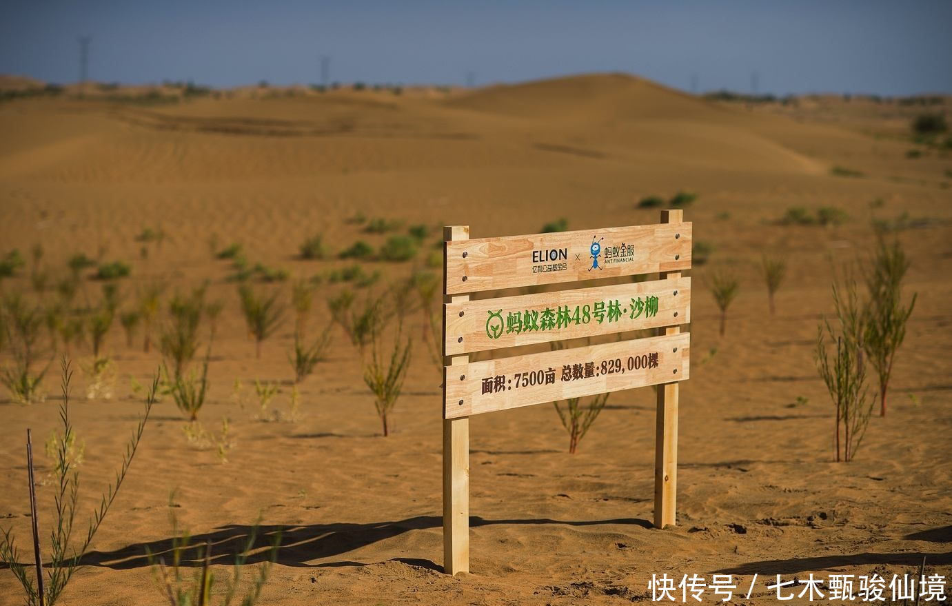  [大国]美军公开一张卫星照片，迎来全世界称赞，网友：这才是真