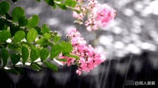  预警@寒潮预警！大降温 雨雪！新一股强冷空气来袭