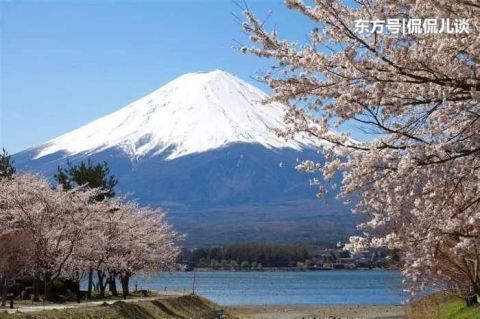 富士山竟不是日本的, 政府需要每年缴纳高额租金