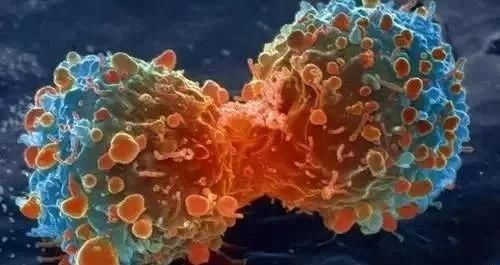 人民日报：这是健康领域最大的谣言！你上当了吗？