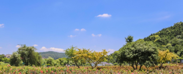 再添一“火炉城市”：赛过重庆，赢了湖南，没空调根本“活不了”