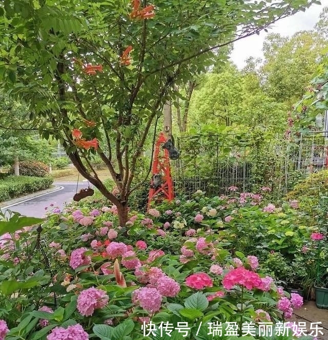  「平方」有了30平方的小院，能将日子过成了诗？简单而精致，优雅而从容！