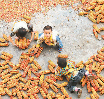 梯田深处有人家(古村今貌)