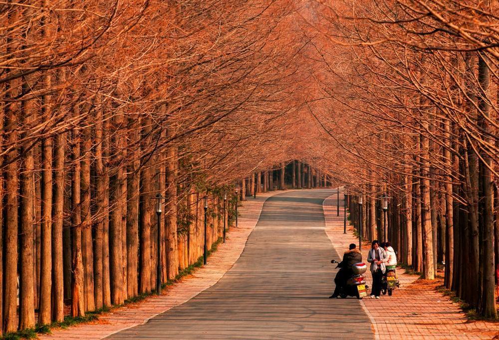 中国最难分清两座城市:名字区别不大还不一个省,经常有人搞错