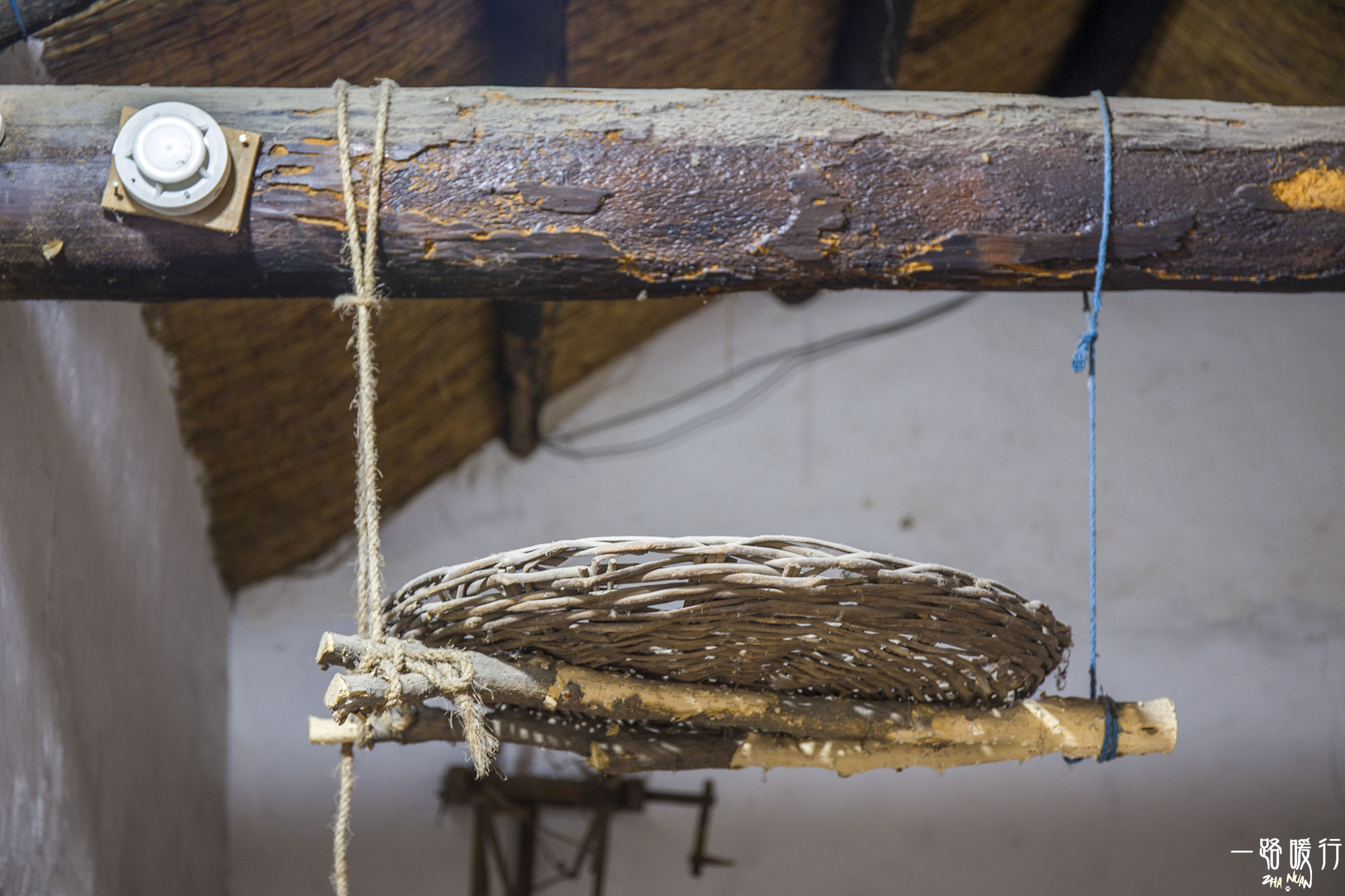 东营丨走过沧海桑田，终是在芦花飞雪的秋日遇见你