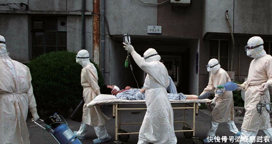 当年的非典疫情,果子狸背了16年黑锅,真正