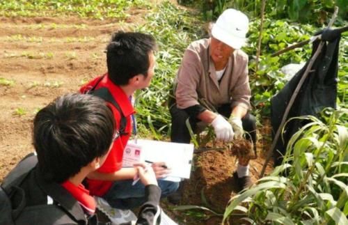  不想：农村大学生的处境：大城市难待下去，也不想回农村，迷茫