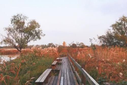 杭州最“坑”的景区，在西湖旁边门票80，游客：就让我看这个？