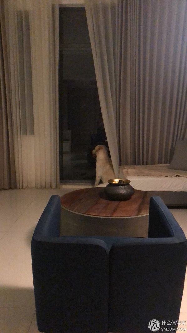 我和我的37双鞋 篇一:我想讲讲我的37双鞋之一:JUMBO，我和老妈撞