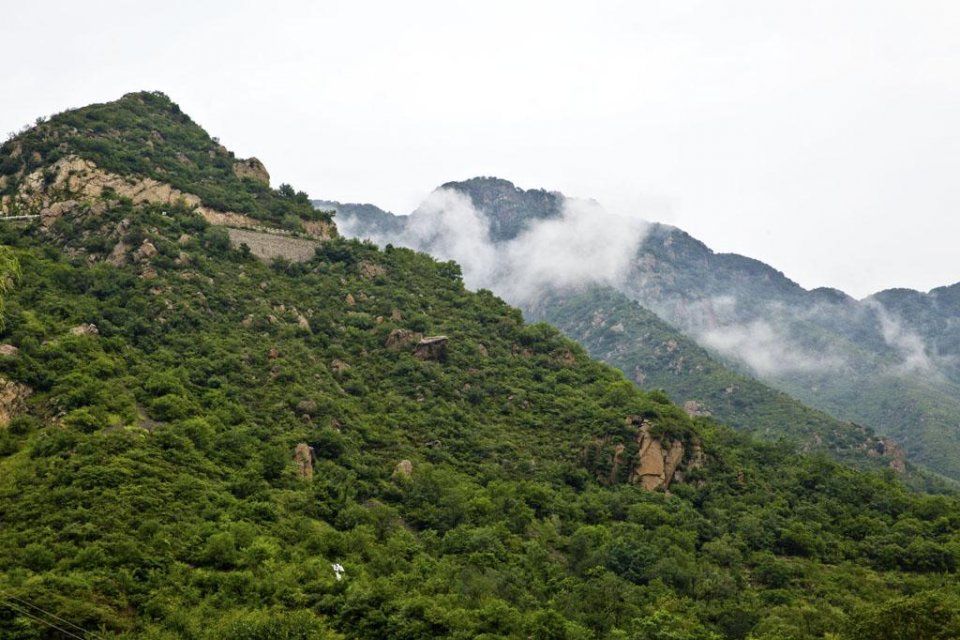淳朴的山里人，干净的农家院，地道的山野菜
