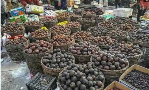  「标本」你见过东北的集市吗？冻鱼冻水果都不算啥，乌龟都被冻