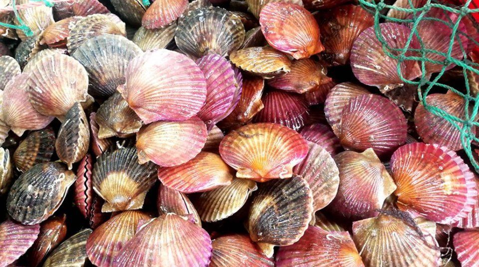 中秋节后菜市场海鲜价格腰斩，梭子蟹最高45，鲜活海鲜鱼价仍高