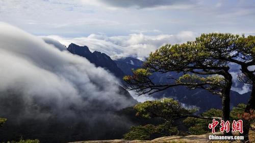 雨后黄山现罕见“瀑布流云” 宛如水墨画卷