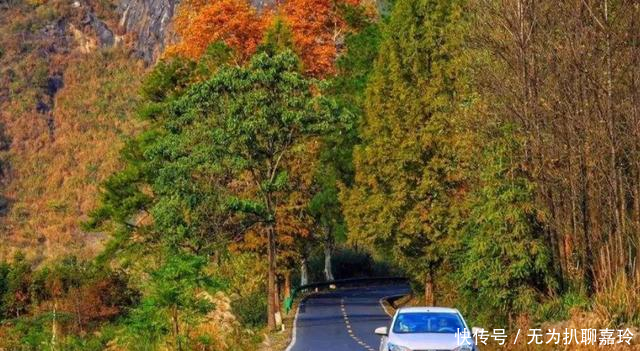 适合■安徽适合自驾游的公路,绿树成荫春暖花开,沿途风景令人陶醉