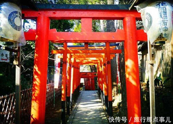 中国游客去日本，主动给公交车老人让座！还被公交车老人“指点”