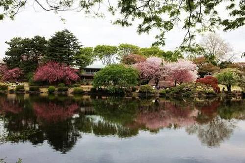 在日本住宿,深夜听到女孩敲门怎么办?驴友:千万不能开