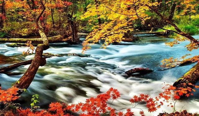 又一个红叶王国！国内这处秘境，有比肩枫叶之国加拿大的醉美秋色