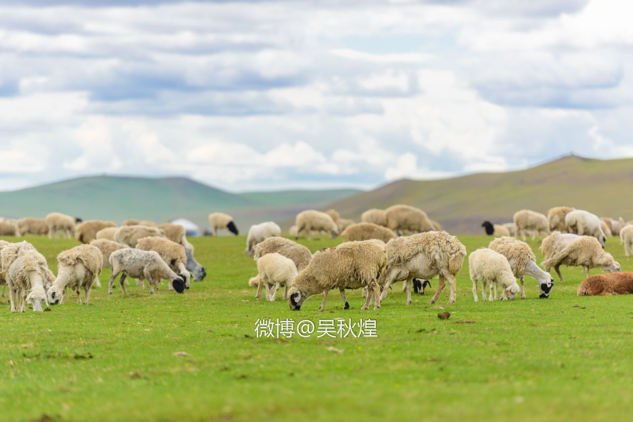 我和内蒙古呼伦贝尔有个约定