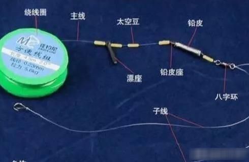 【该如何选择】新手钓鱼别好高骛远,掌握最基本的三种选择,鱼获自然少不了