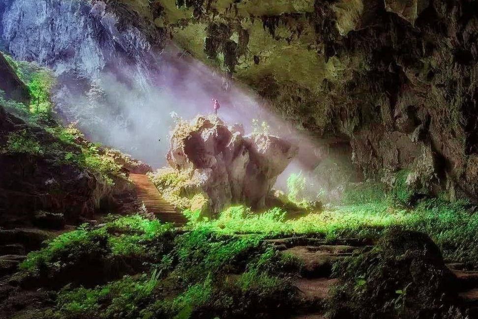 我们国家有一个天体秘密，隐藏着六千万年前形成的最大的原始森林