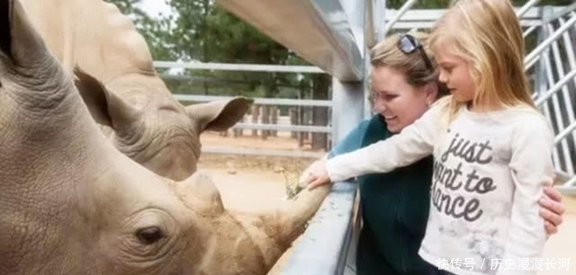 世界上“最大胆”的酒店:可以和动物结伴睡觉,还能近距离观看!