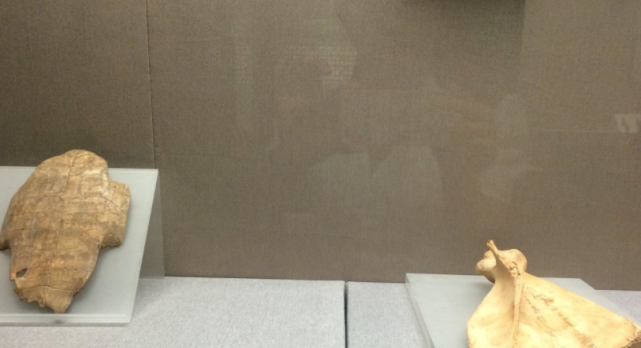 河南这匹黑马城市，不是郑州跟南阳，你觉得会是哪里呢