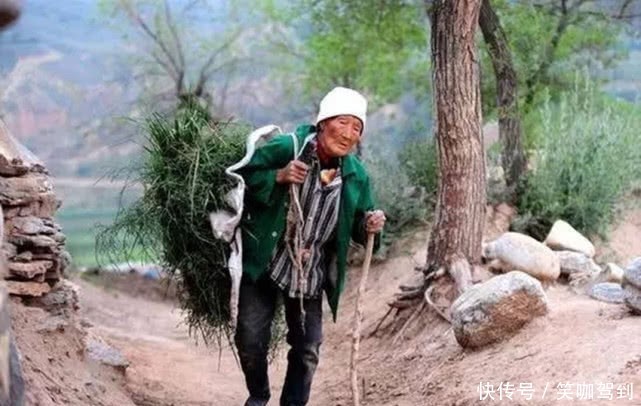 农村老人养老没保障，农民希望统一发钱养老，专家却说行不通