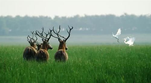  #gdp#2019年前三季度江苏13市GDP排行榜，苏州1.4万亿居榜首！