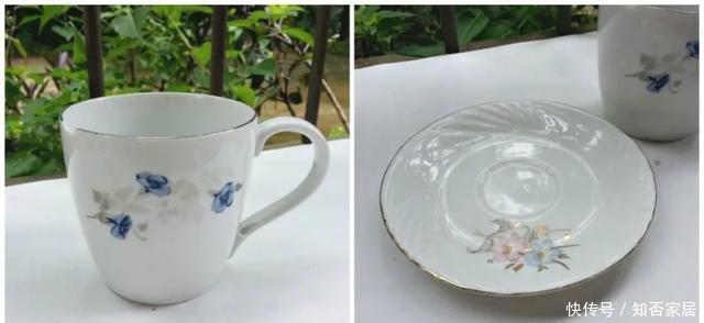 「装饰」在茶杯里建花园,美到惊艳!31万网友疯狂点赞
