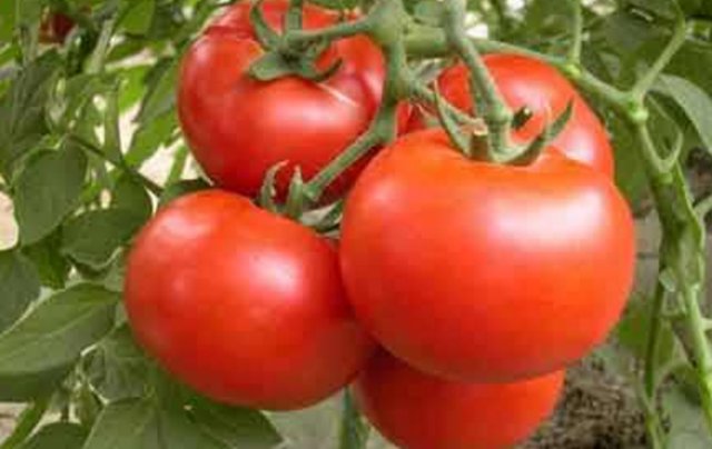 女人到40岁皱纹越来越多，常吃此些食物，美白养颜，远离黄脸婆