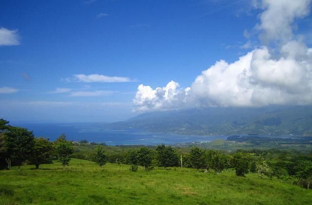 南太平洋中最大岛屿，景色绝美物产丰富，你知道是哪么？