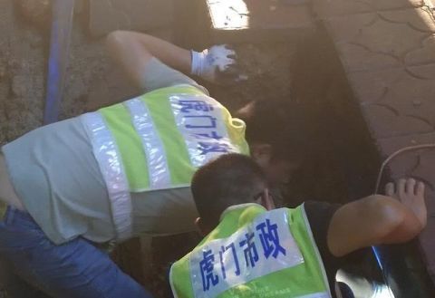 工作|速度!6小时修复人行道塌陷