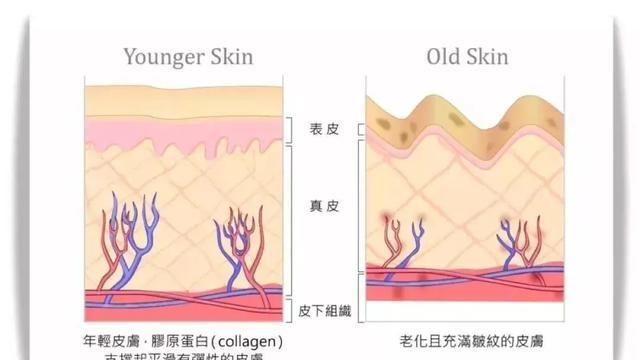  [皮肤]壹知肤：抗皮肤衰老，我们到底在抗什么？