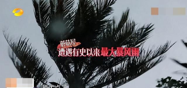 『黄晓明的作』黄晓明太惨了!刚来“蘑菇屋”就遇上下冰雹,这是自带“剧本”啊