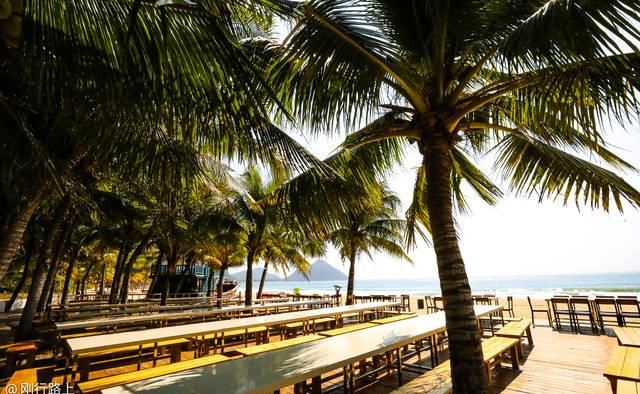 赶在冬天前来三亚，整片海滩都是你一个人的