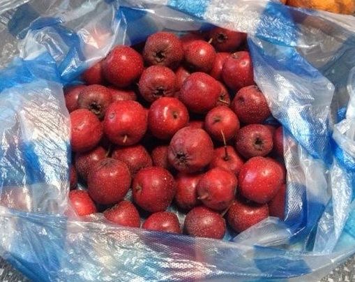 2个月减脂37斤，一点没节食，坚持最笨的方法，瘦到98斤不反弹