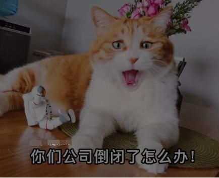 买股票、买基金、买银行理财产品、买保险,你