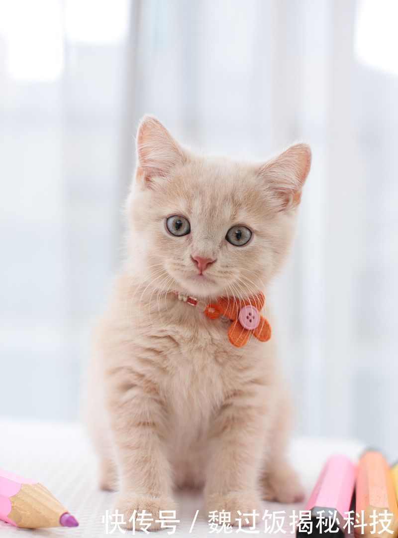 『开心』轻松笑话,每天都要更开心一点