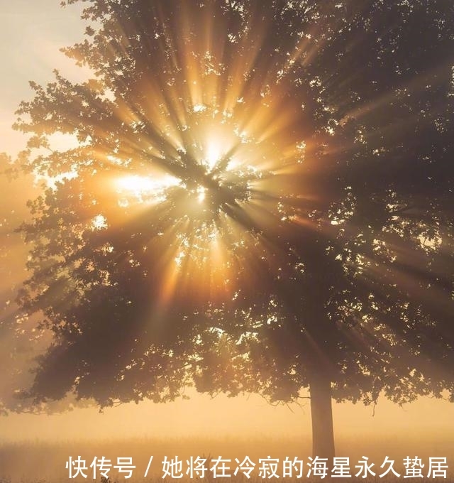 『拼搏』不求回报,一生为了子女而拼搏的星座