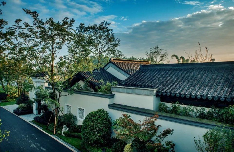  【宋卫】布局大湾区：宋卫平和他的理想小镇