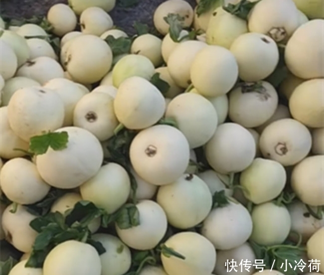  [村民]村民说他种植的是“变异鸡蛋”，3元一斤一天能卖万斤